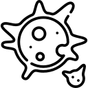 fungus
